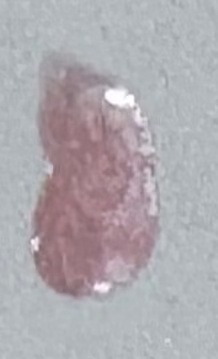 Cherry Blossom Nail Polish