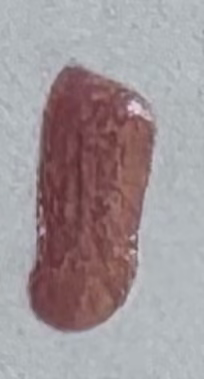 Guava Lava Nail Polish