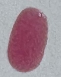 Magenta Nail Polish