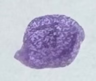 Purple Dreams Nail Polish