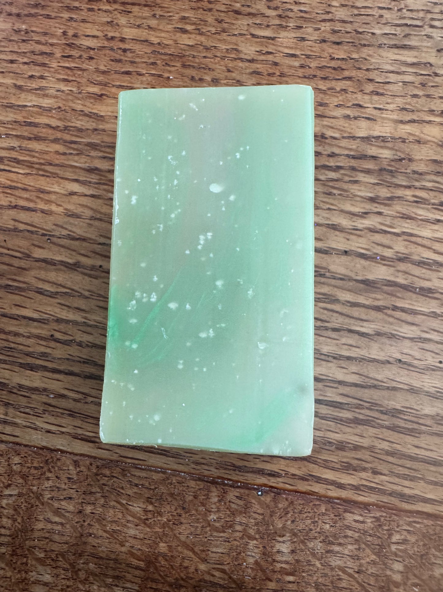 Baja Cactus