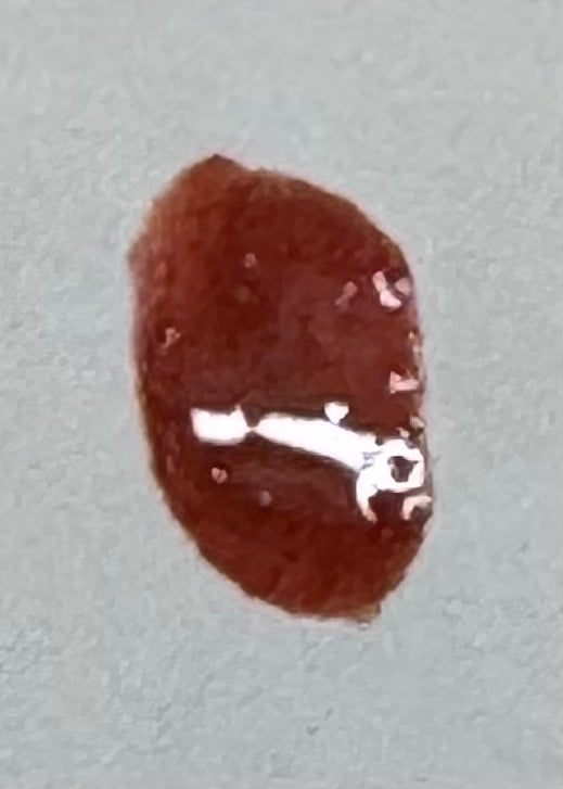 Brick Red Nail Polish