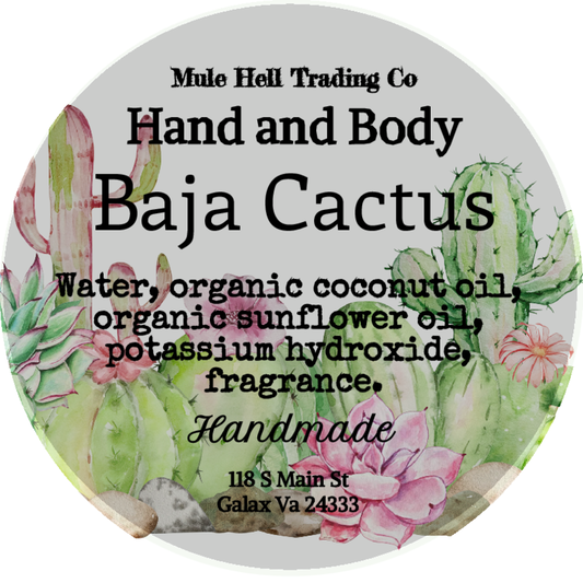 Baja Cactus Liquid Soap
