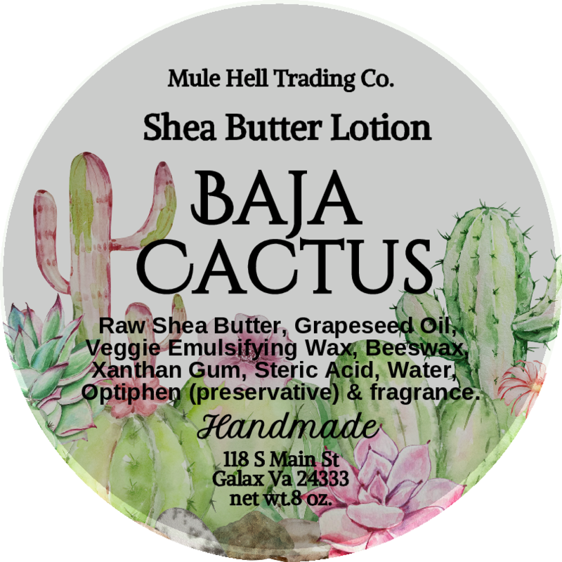 Baja Cactus