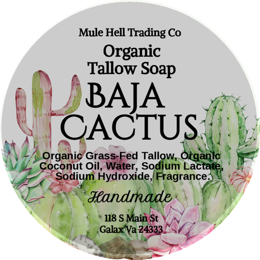Baja Cactus Tallow Soap bar