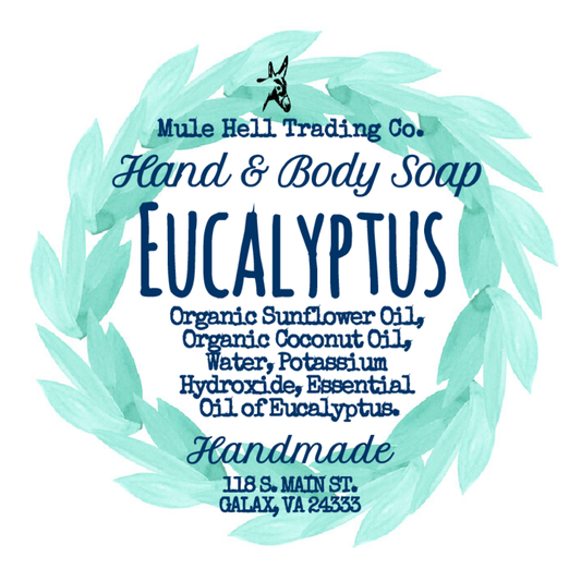 Eucalyptus Liquid Soap
