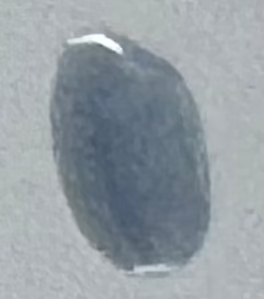 Dawn Nail Polish