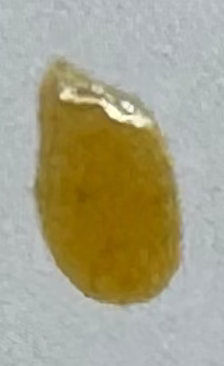 Yellow Ochre Nail Polish