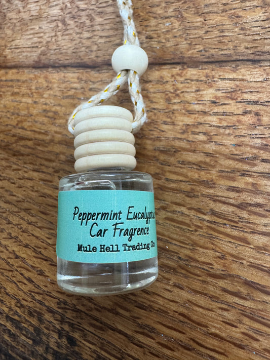 Peppermint and Eucalyptus Car diffuser