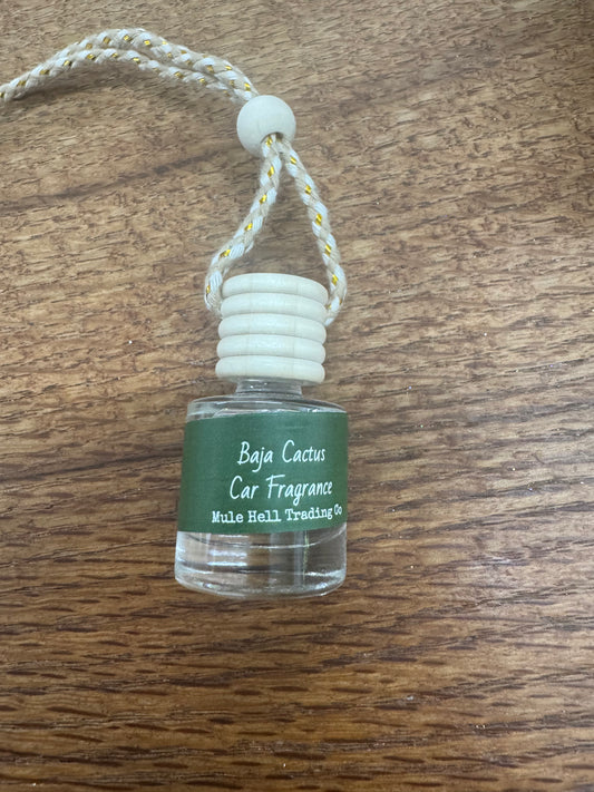 Baja Cactus Car diffuser