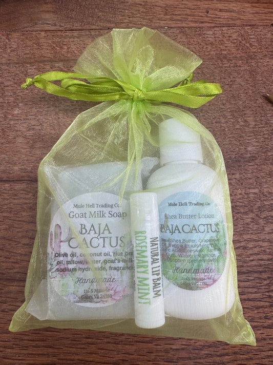 Baja Cactus Soap, Lotion, and Lip Balm Gift Set