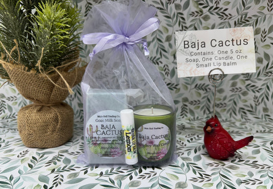 Baja Cactus Soap, Candle, and Lip Balm Gift Set
