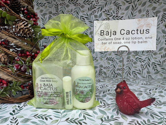Baja Cactus Soap, Lotion, and Lip Balm Gift Set